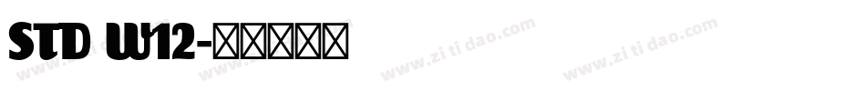 STD W12字体转换